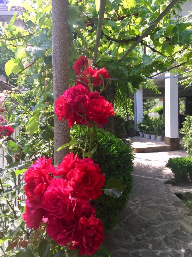 Guest House Barbov Obsor Exterior foto